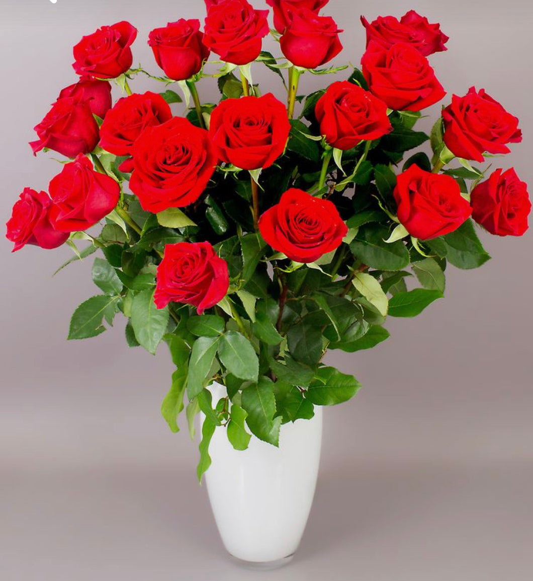 24 Red Roses in White vase.- Best Seller