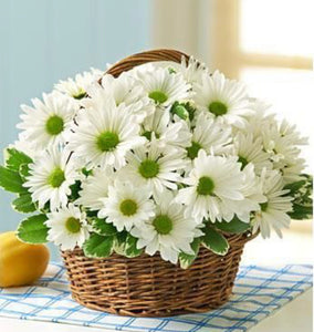 White daises in basket