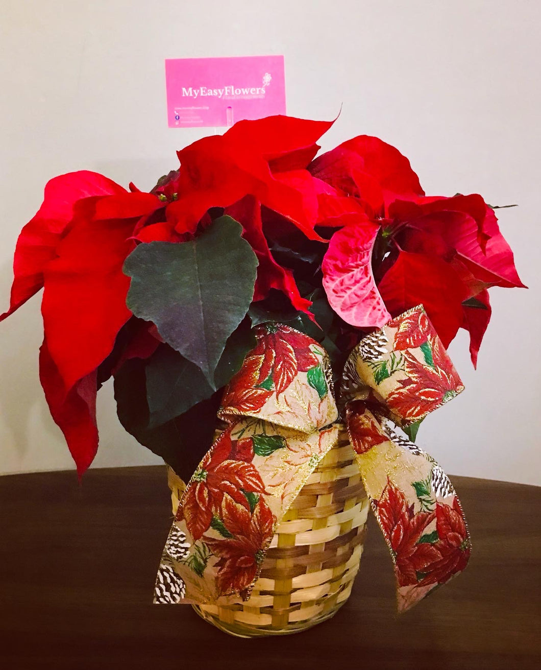 CLASSIC POINSETTIA (in basket) Best Seller