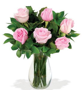 6 Pink Roses