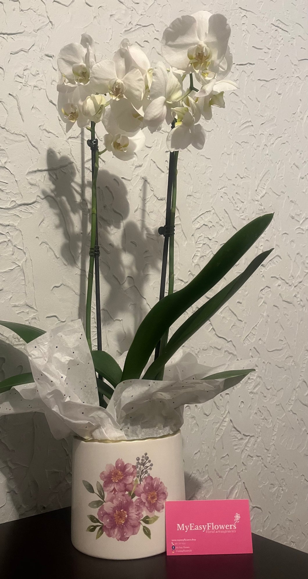 Orchid plant double stem floral ceramic vase.- Best Seller 🌸