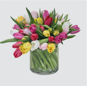 Embrace tulip bouquet