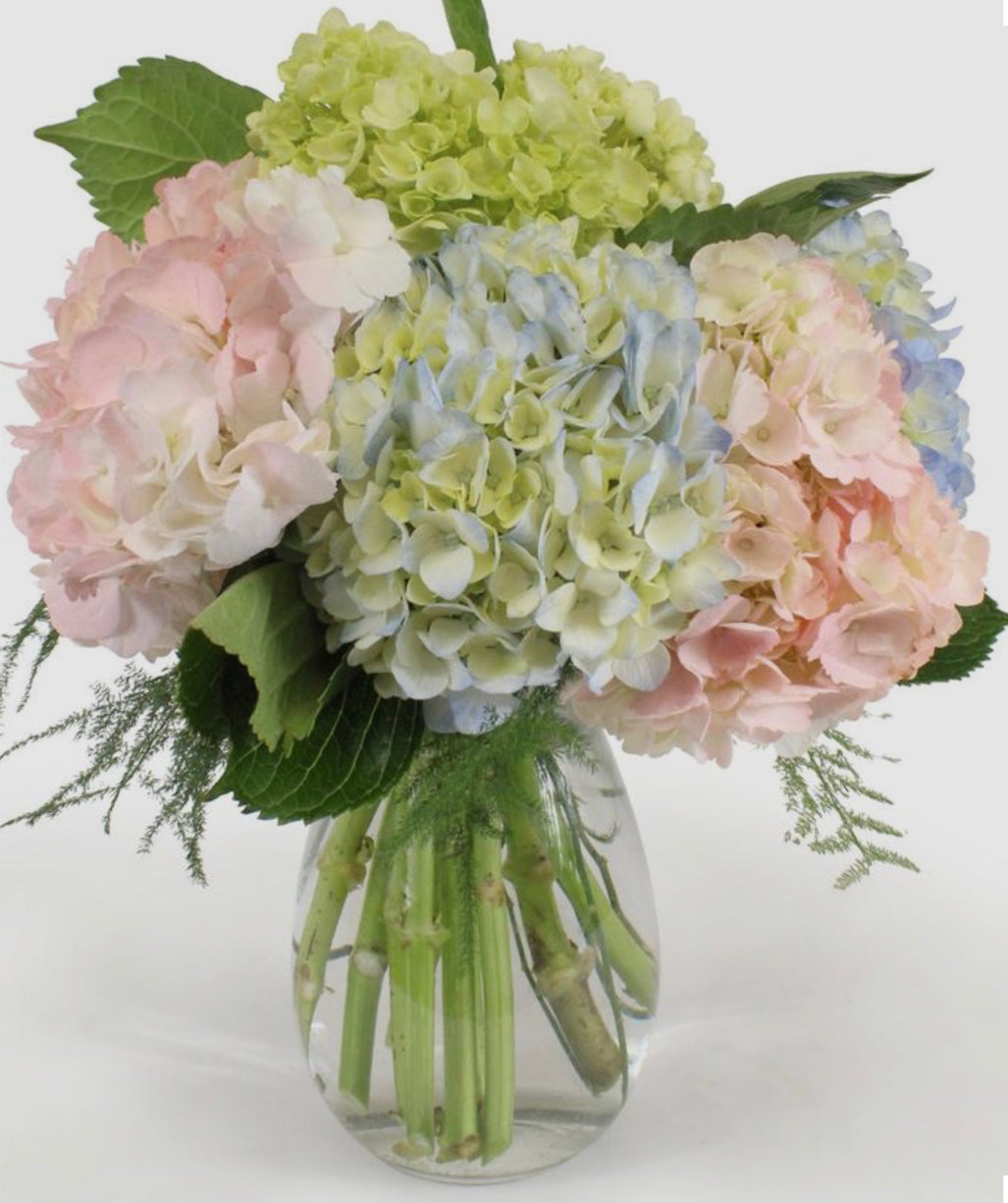 Sweet and charm hydrangeas bouquet