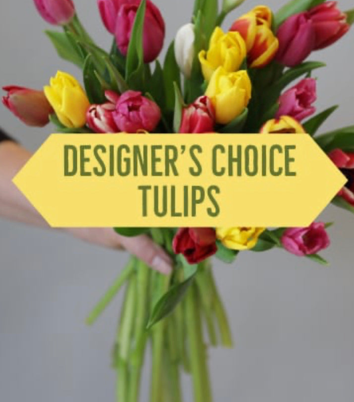 Designer's choice Tulips